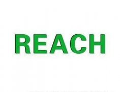 REACH��֤��Ҫ�ṩʲô����?